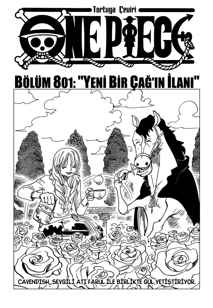 Bölüm 801 - Sayfa 2