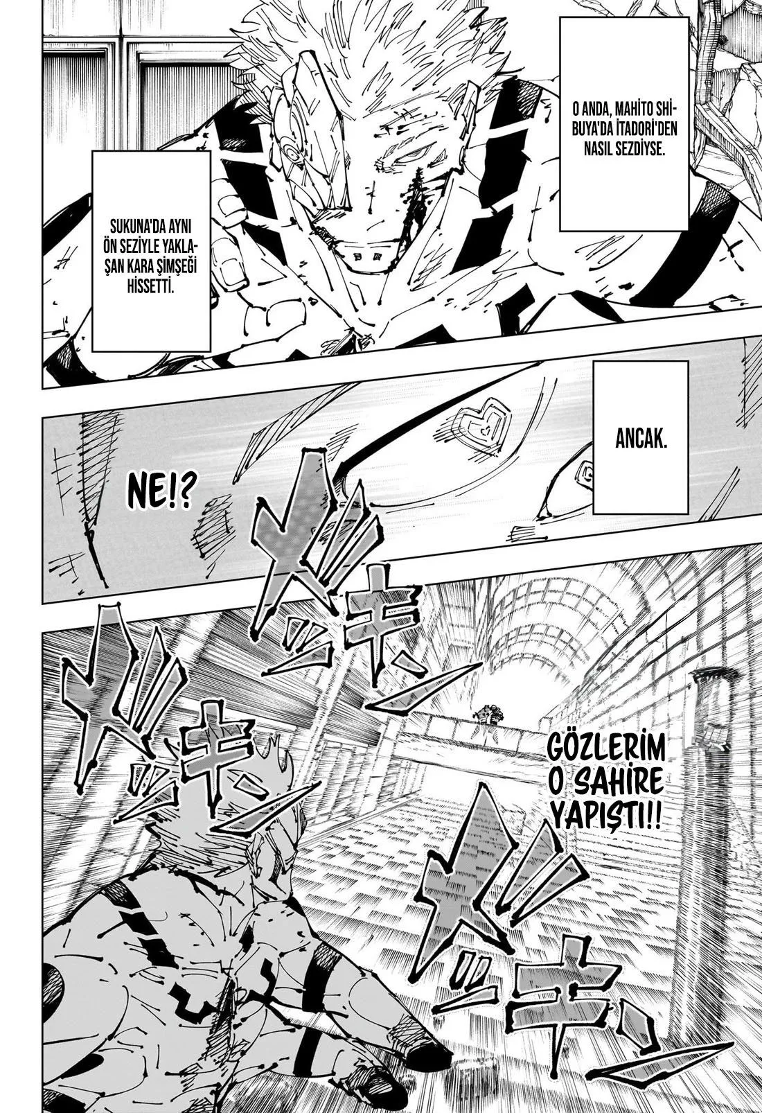 Bölüm 256 - Sayfa 17