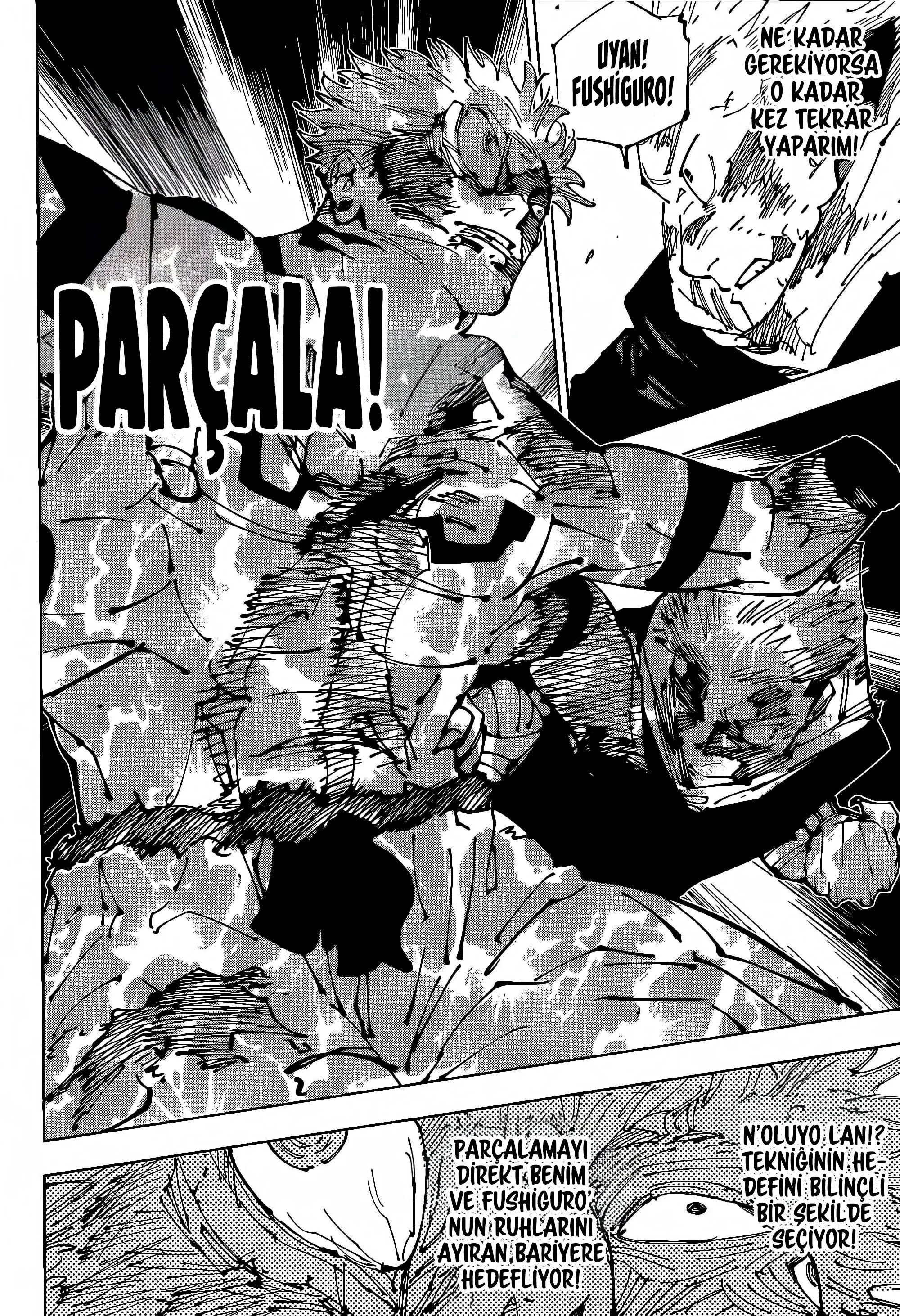 Bölüm 263 - Sayfa 10