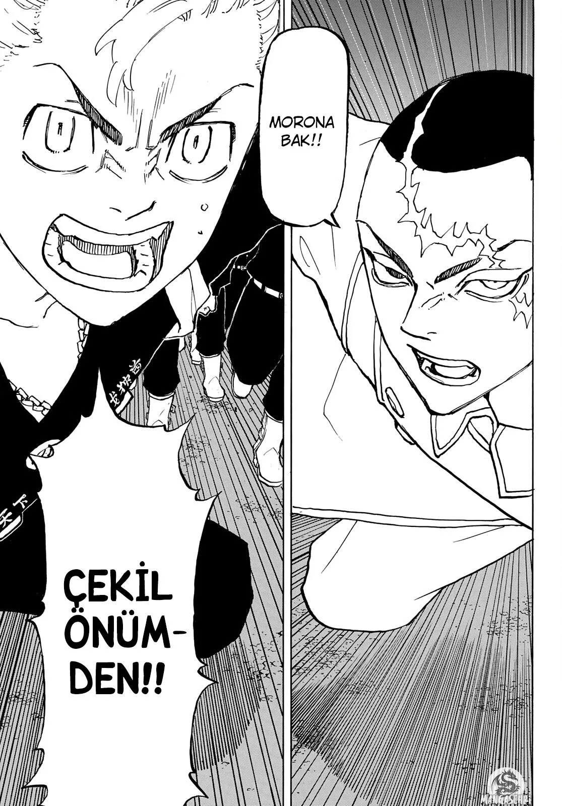 Bölüm 245 - Sayfa 5