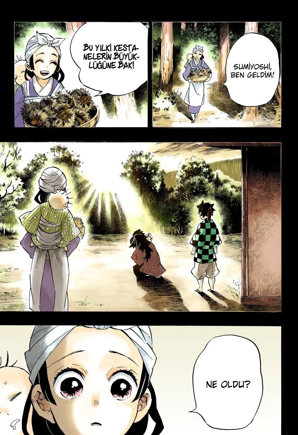 Bölüm 187 - Sayfa 17