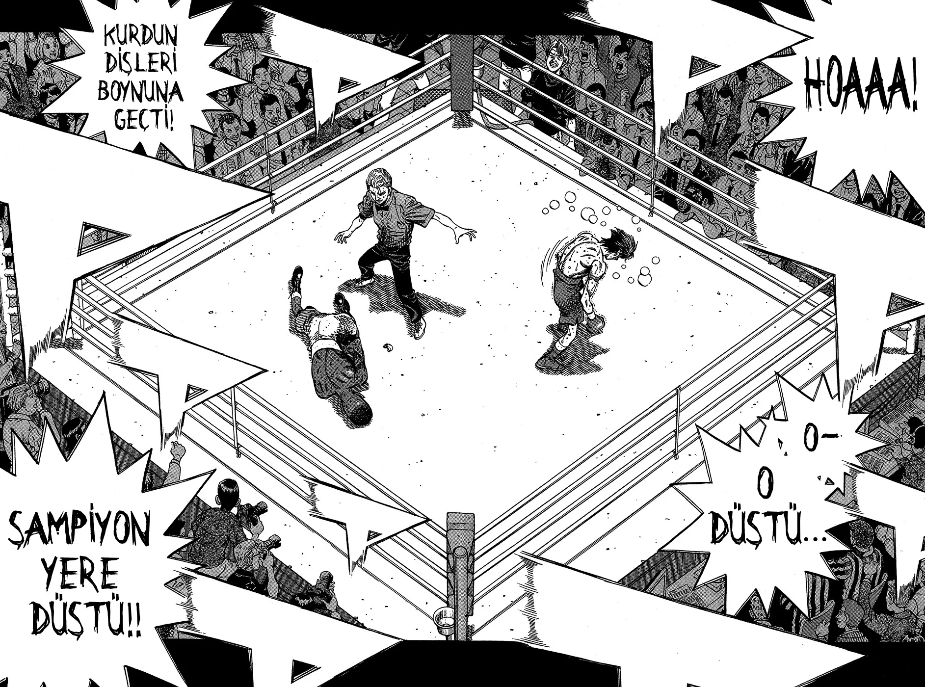 Bölüm 1004 - Sayfa 3