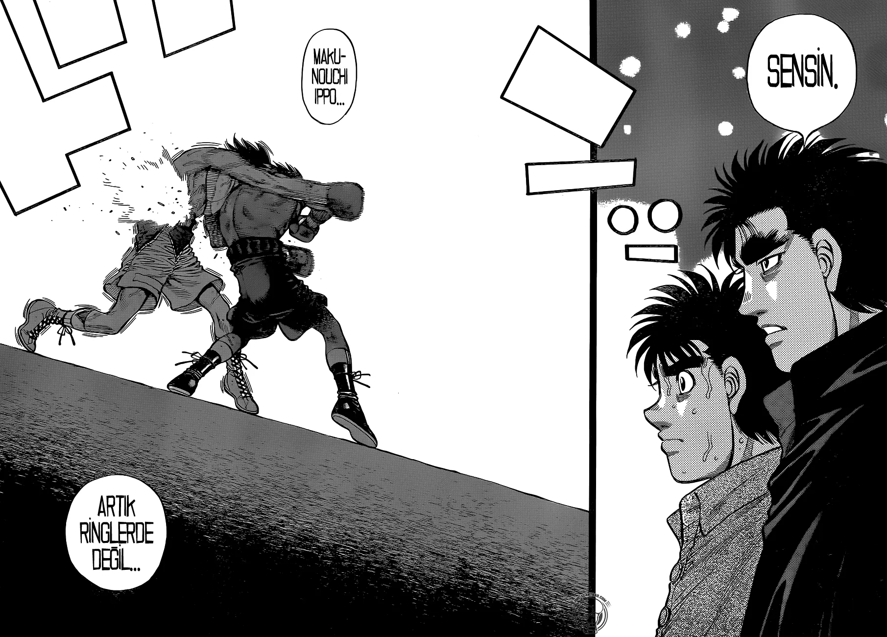 Bölüm 1231 - Sayfa 17