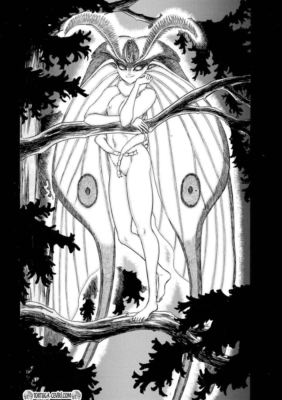 Bölüm 52 - Sayfa 11