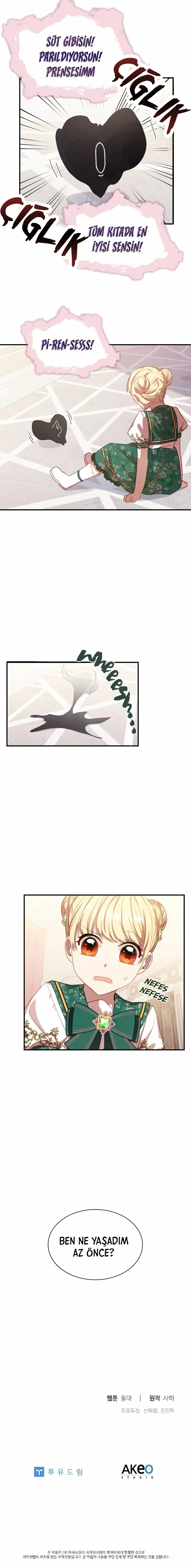 Bölüm 51 - Sayfa 17