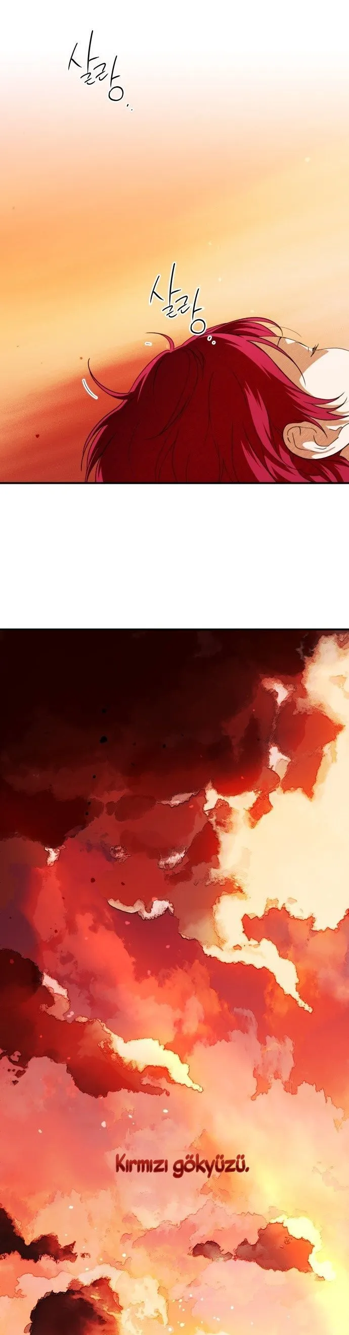 Bölüm 67 - Sayfa 2