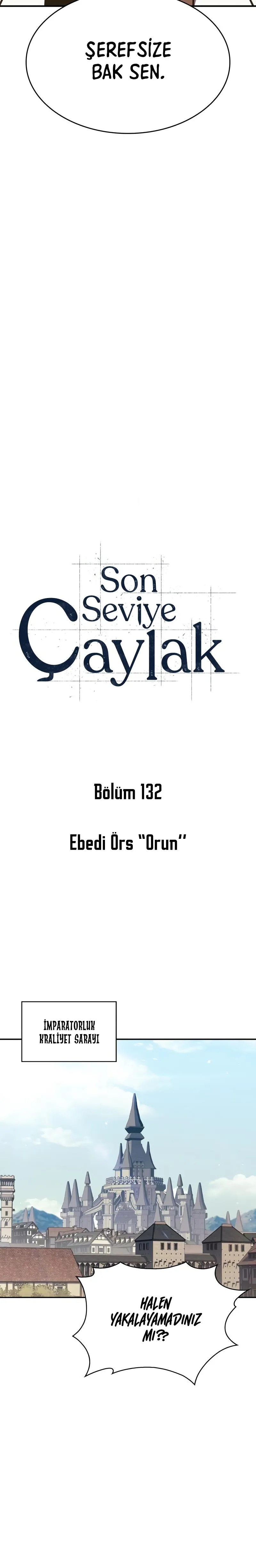 Bölüm 132 - Sayfa 17