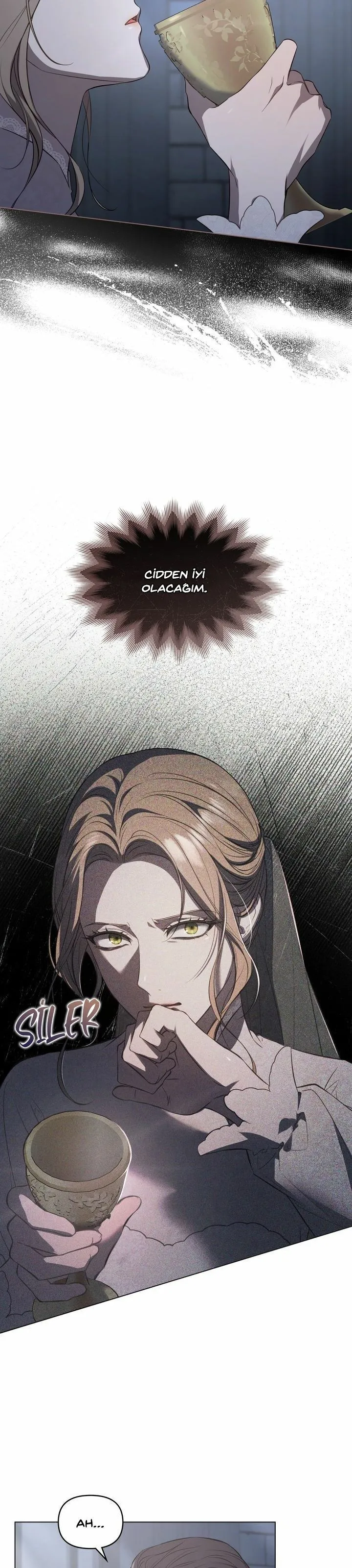 Bölüm 3 - Sayfa 15