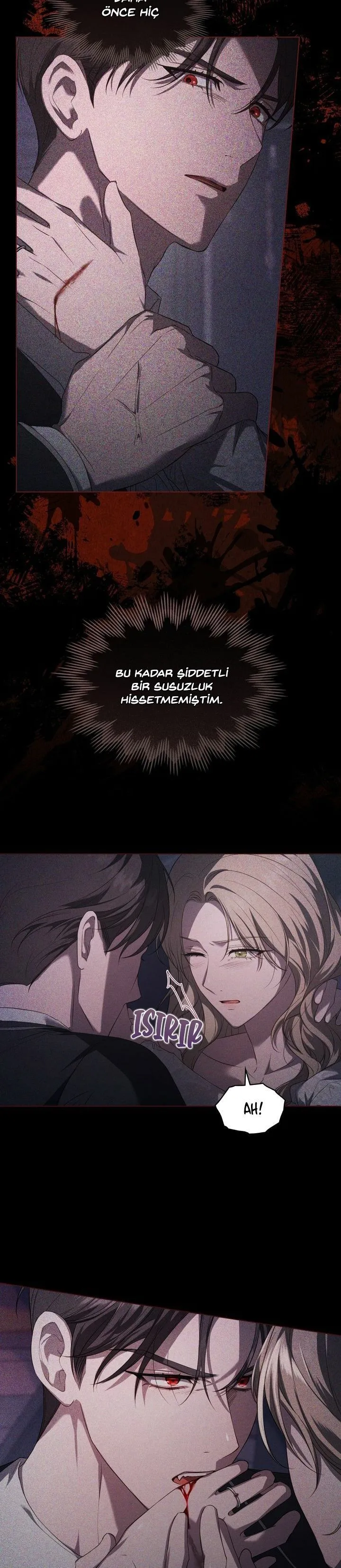 Bölüm 7 - Sayfa 5