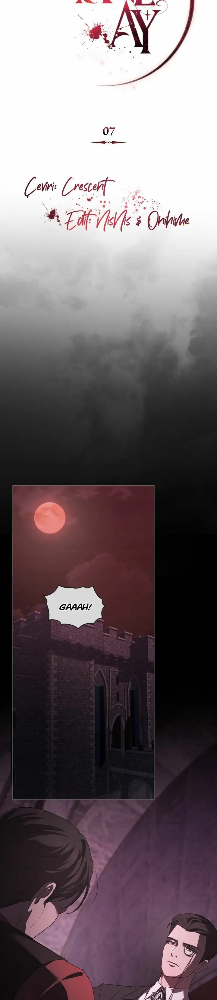 Bölüm 7 - Sayfa 10