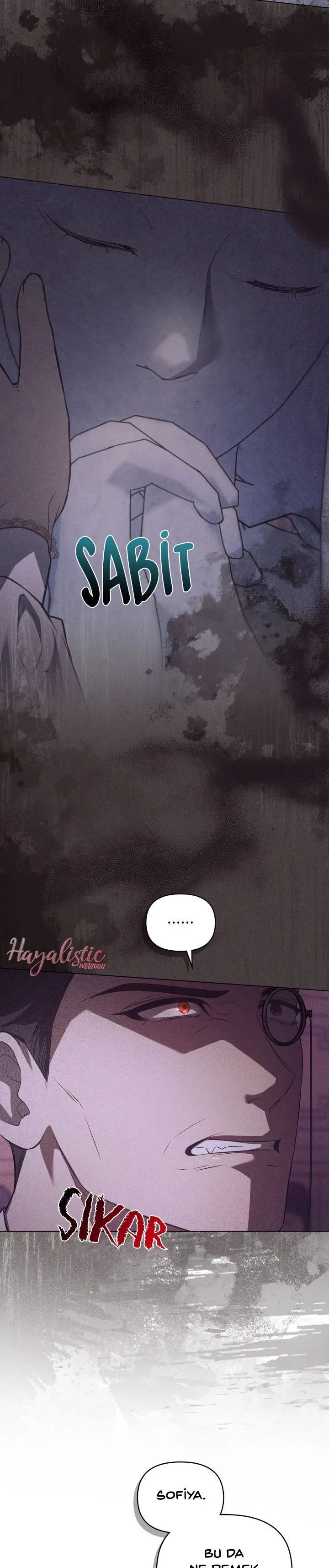 Bölüm 21 - Sayfa 19