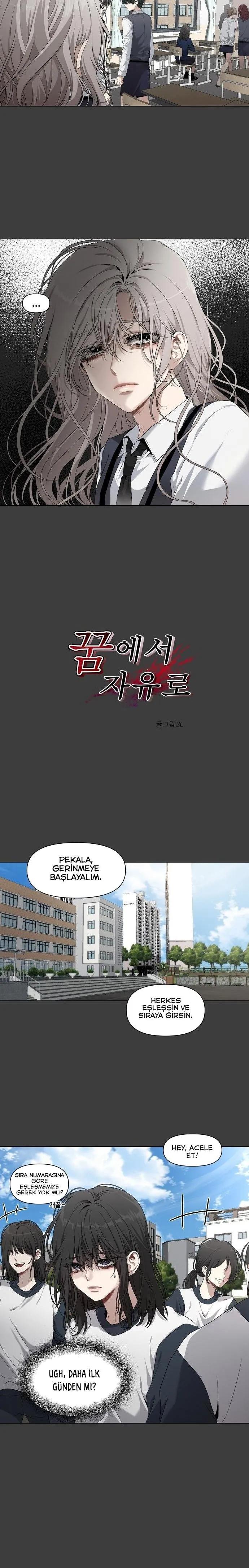 Bölüm 2 - Sayfa 5