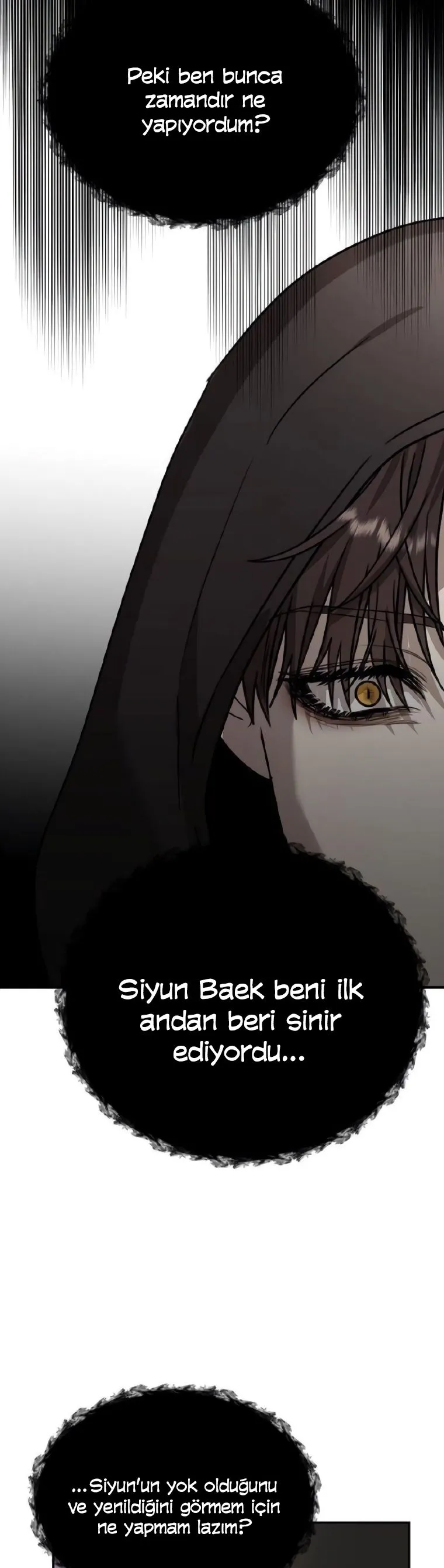 Bölüm 80 - Sayfa 30