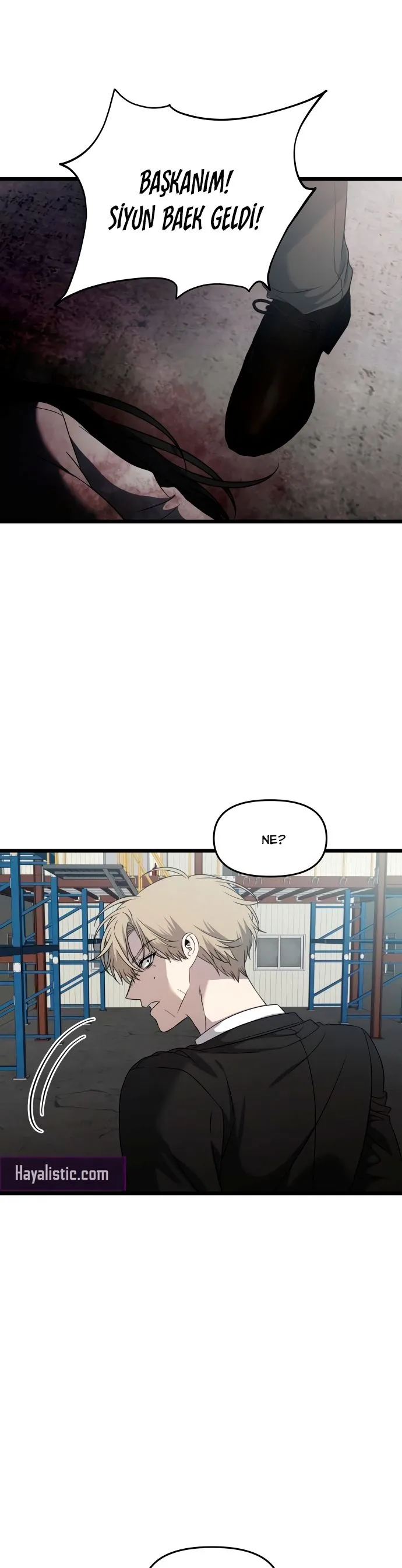 Bölüm 161 - Sayfa 30